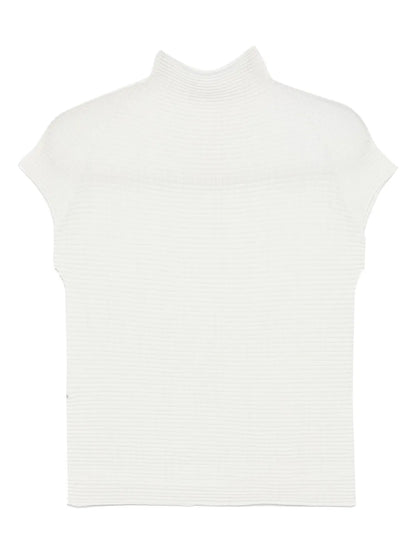 Wooly Pleats Top