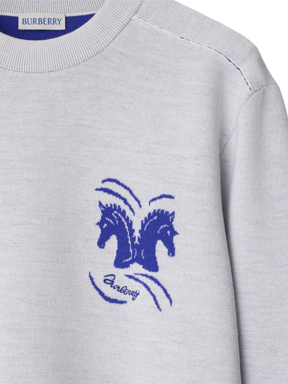 Mirrored Horse Jumper