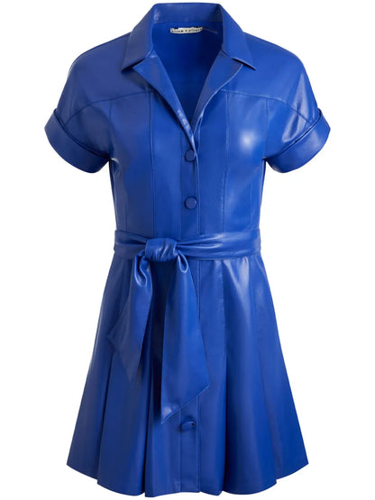 Shirley Short-Sleeved Pleated Shirt Dress