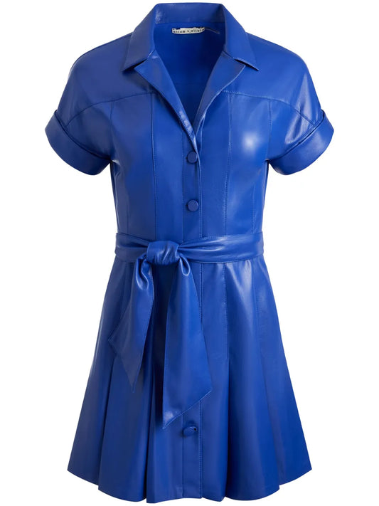 Shirley Short-Sleeved Pleated Shirt Dress