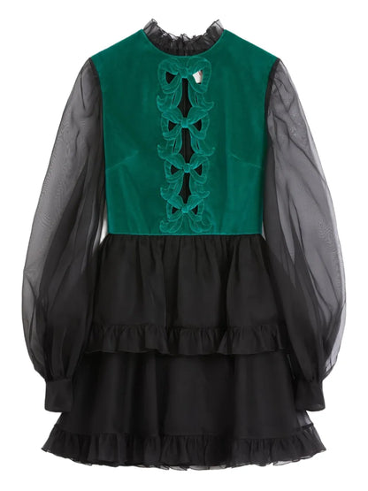 Embroidered Organza Mini Dress