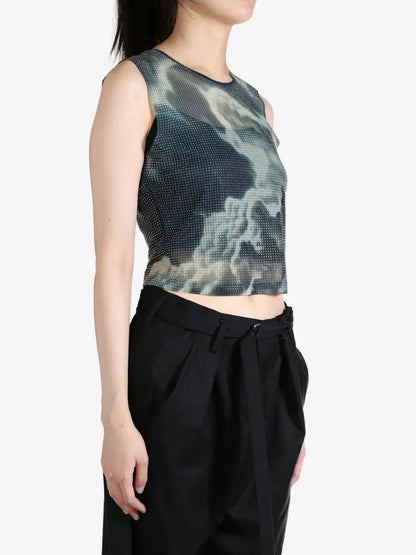 Sheer Crop Top