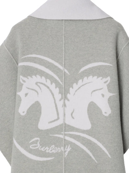 Mirrored Horse Cape