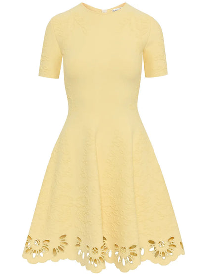 Eyelet-Embellished Jacquard Mini Dress