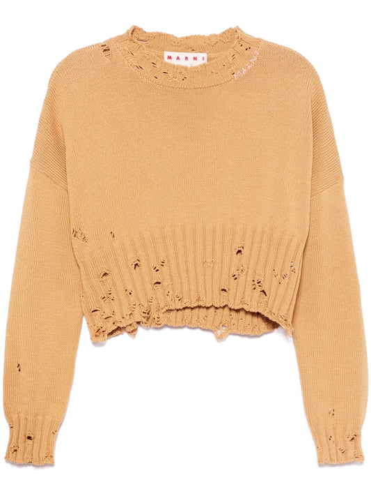 Cropped Sweater