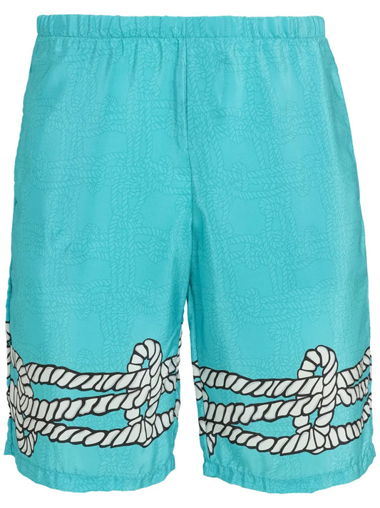 Silk Shorts