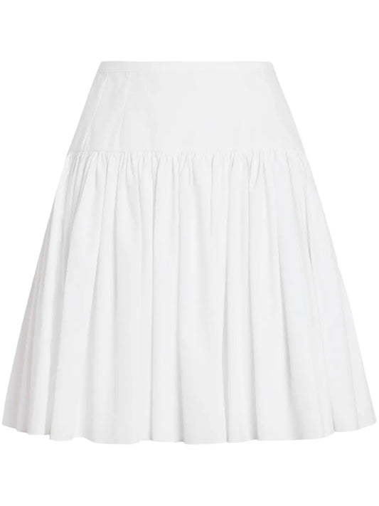 Flared Mini Skirt