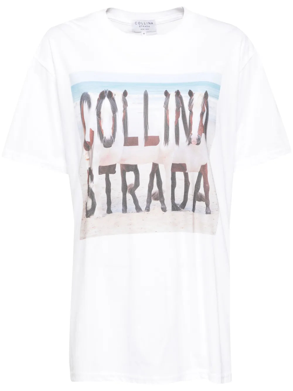 Horse Beach Graphic Tee