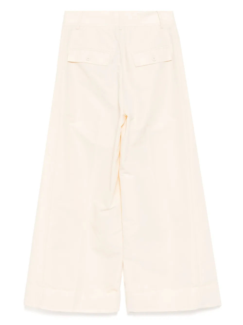 Pleated Trousers