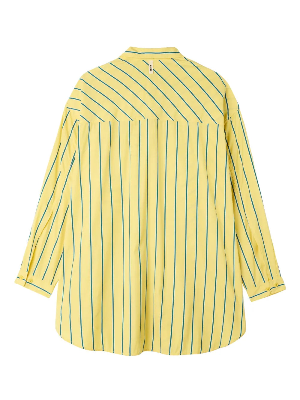 Striped Shirt