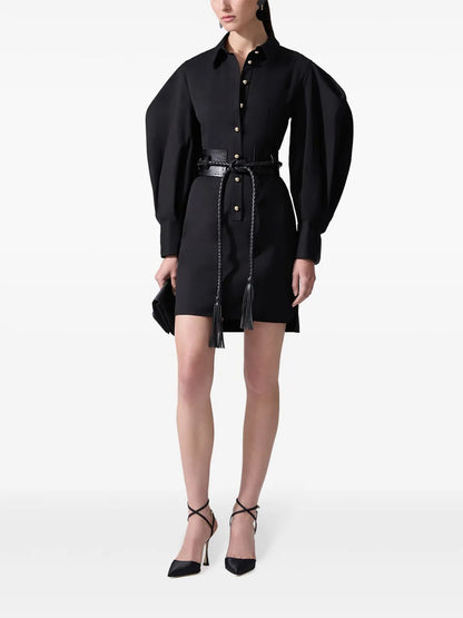Belted Shirt Dress
