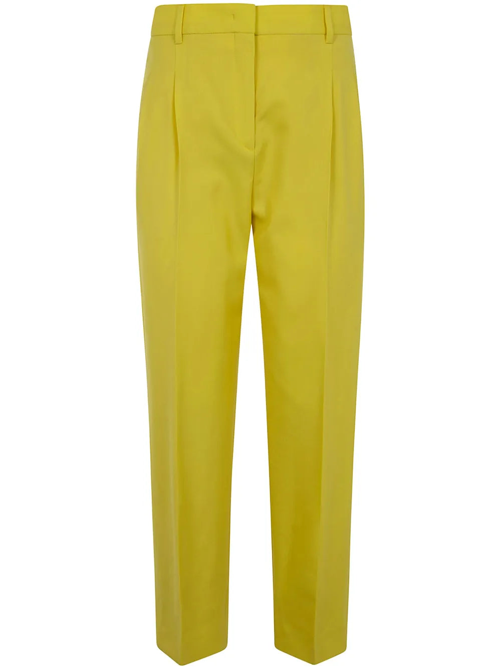 Pleated Trousers