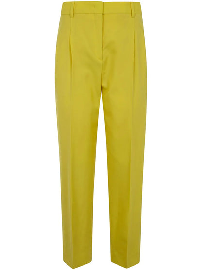 Pleated Trousers