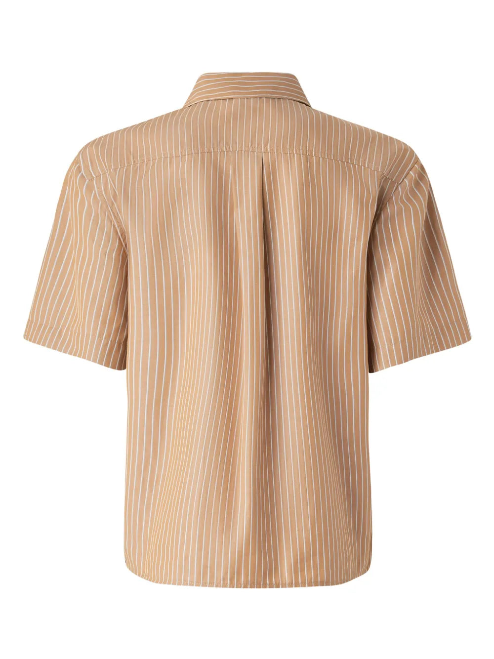 Striped Shirt