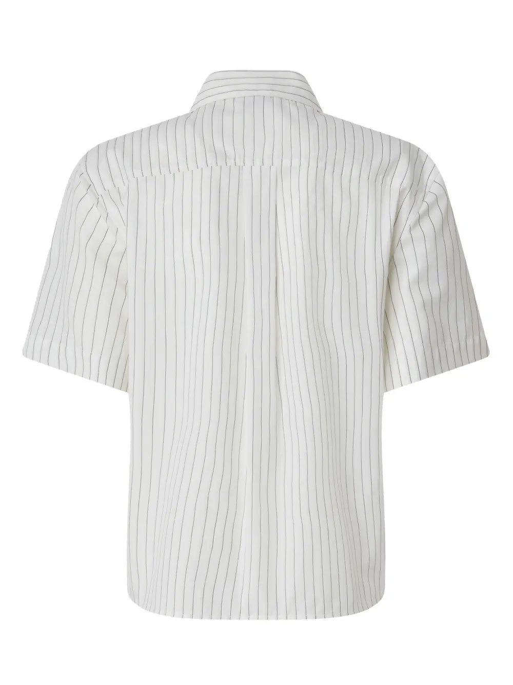 Striped Shirt