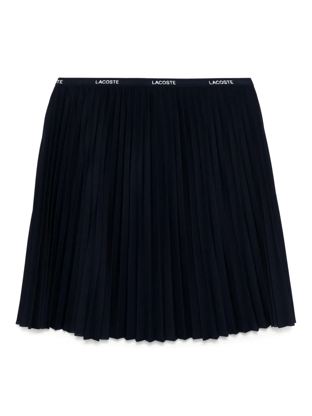 Short Pleated Skirt