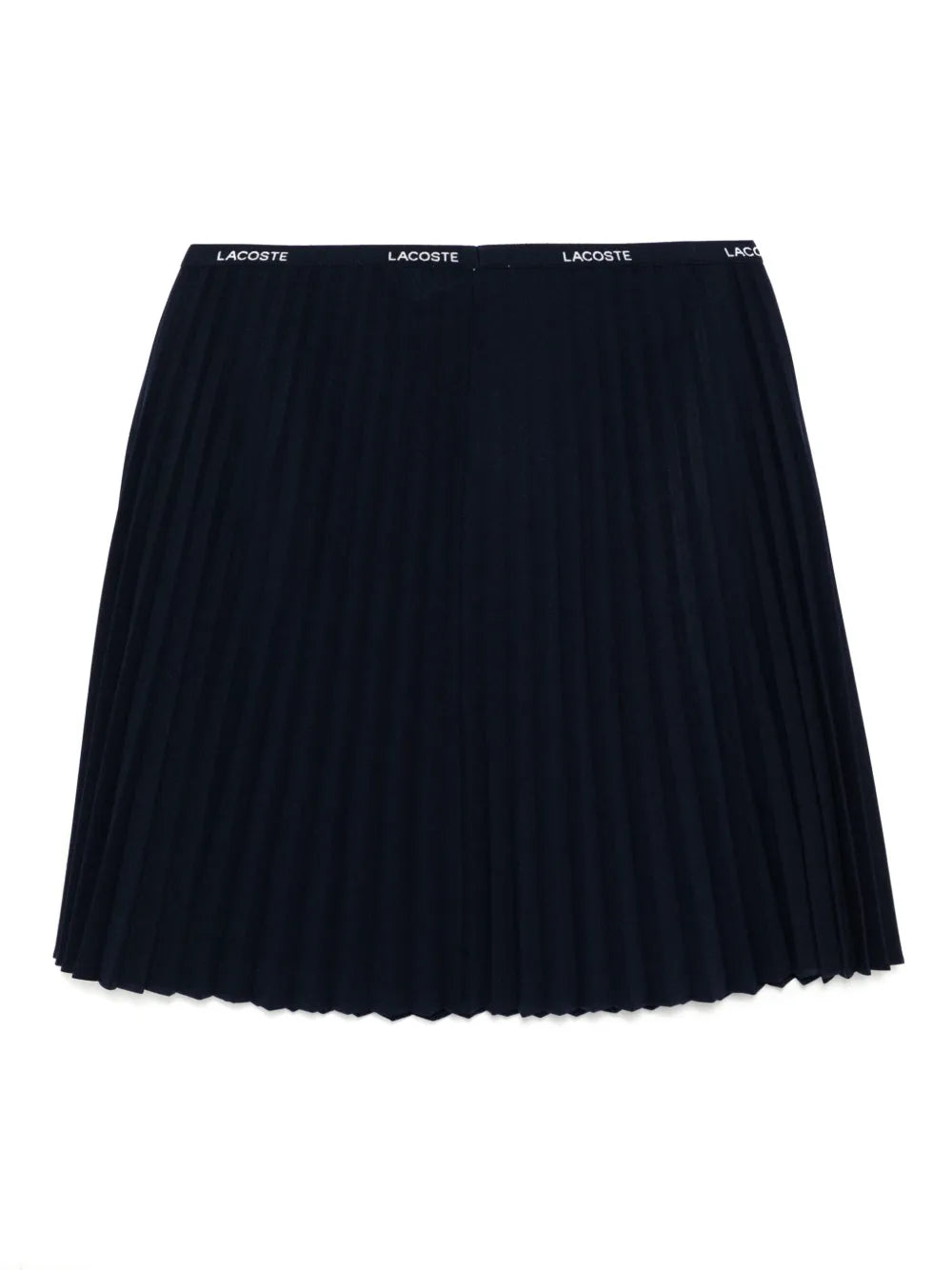 Short Pleated Skirt