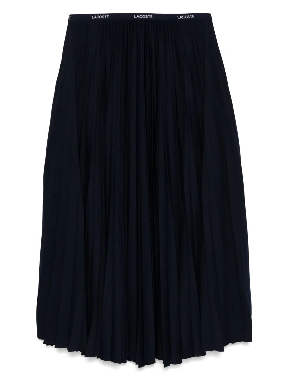 Long Pleated Elasticated Waist Skirt