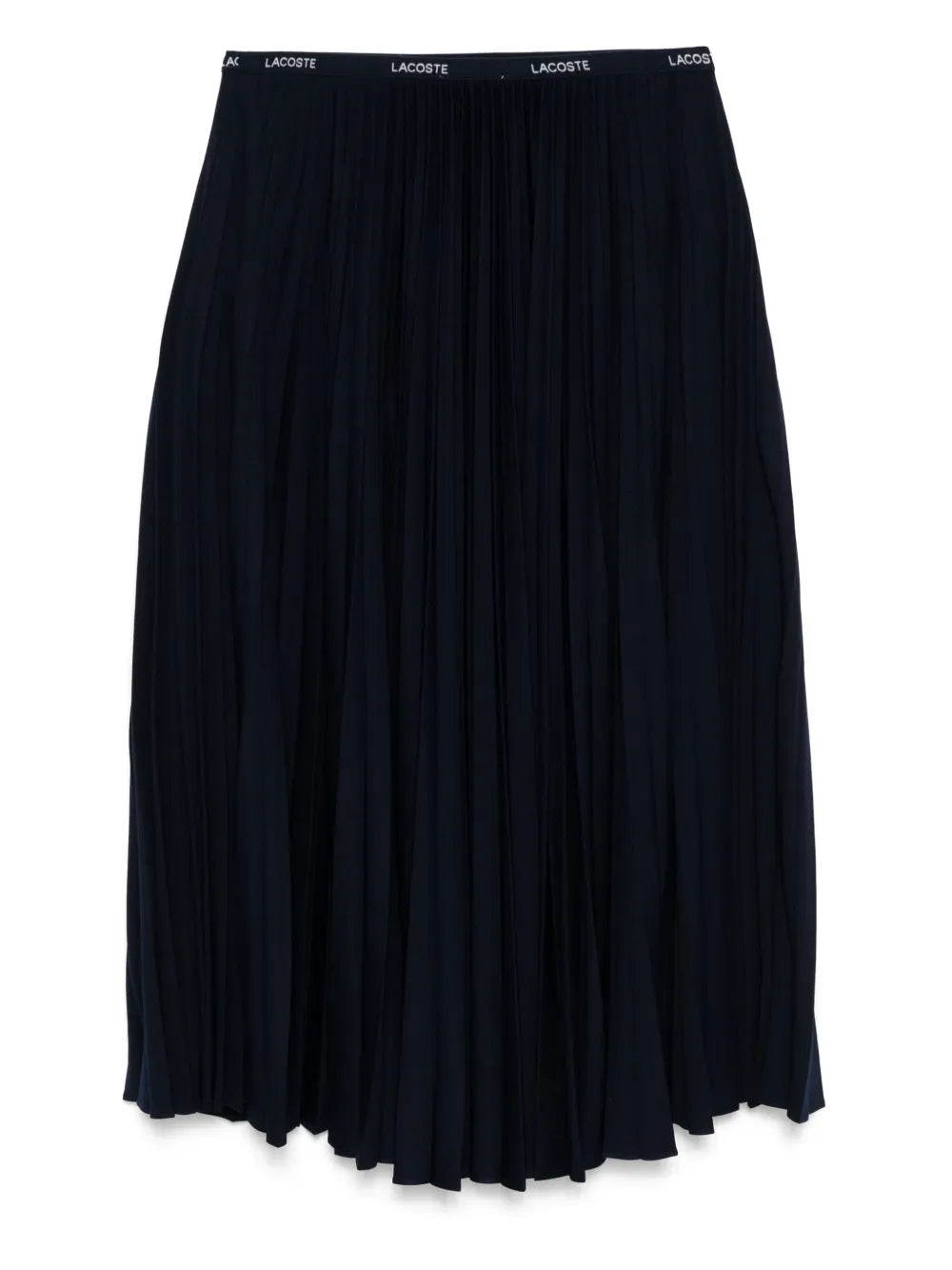 Long Pleated Elasticated Waist Skirt