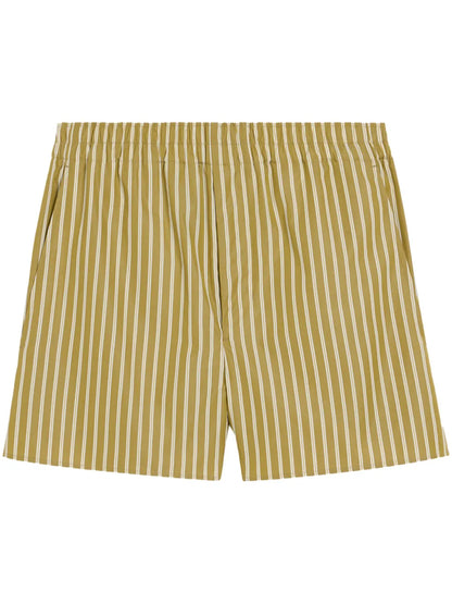 Striped Shorts