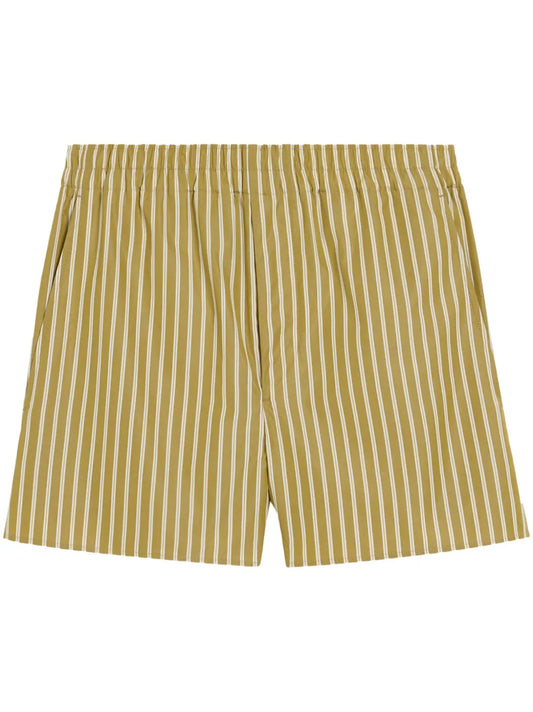 Striped Shorts
