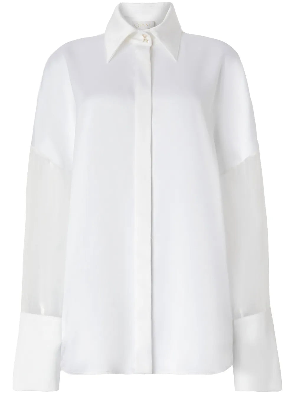Sheer Sleeves Shirt