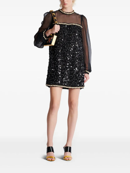 Sequin Detailing Dress
