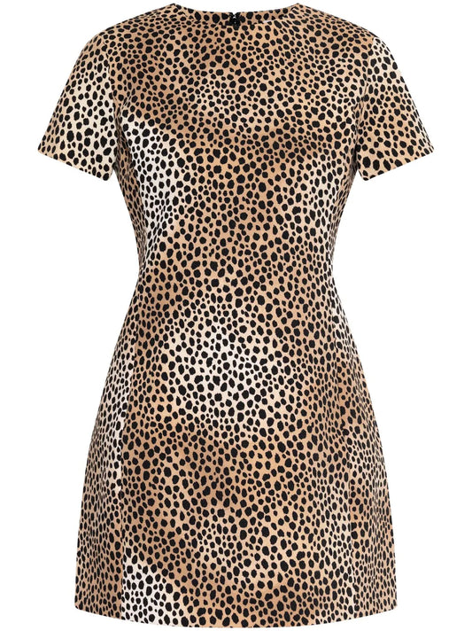 Cheetah-Print Mini Dress