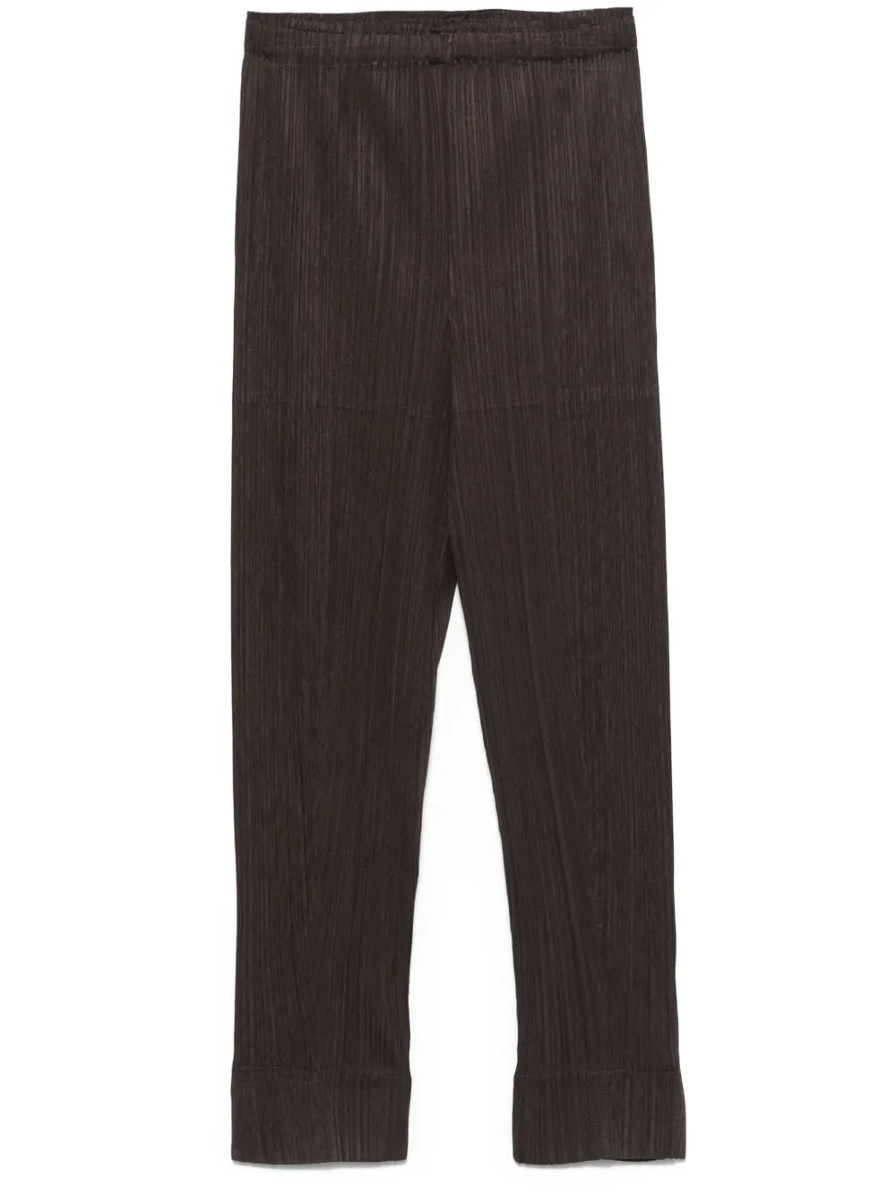 Pleated Trousers