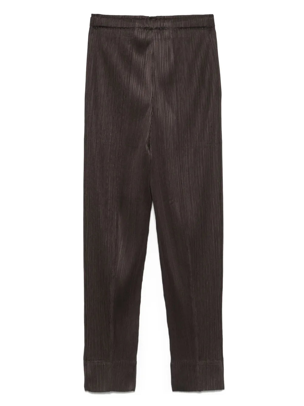 Pleated Trousers