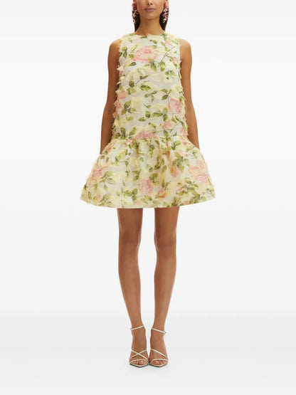Rose-Print Fil-Coupé Mini Dress