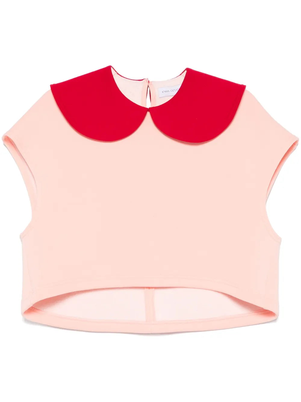 Orchid Top