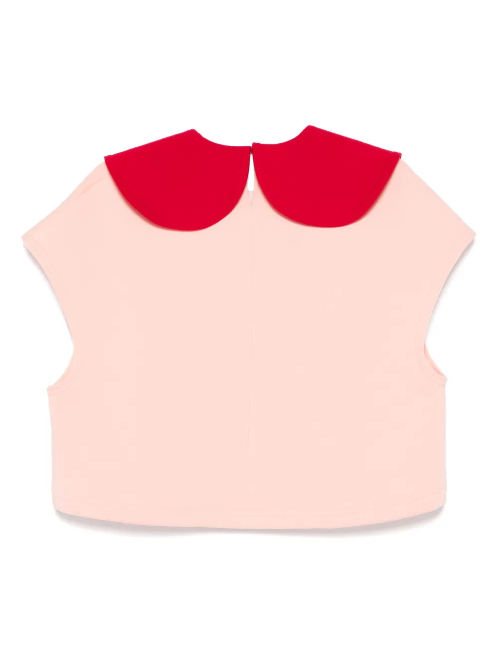 Orchid Top