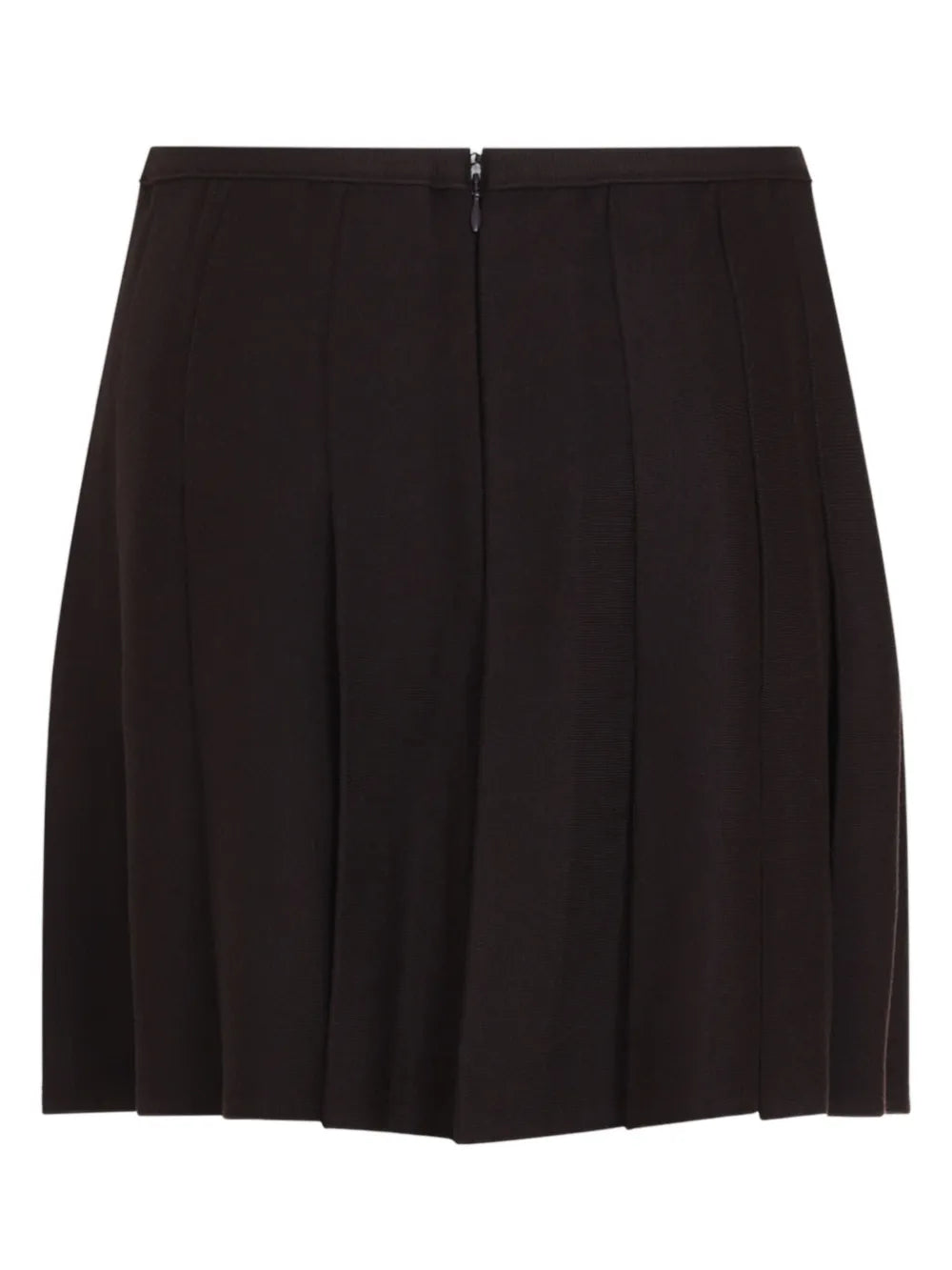 Pleated Mini Skirt