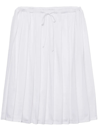 Pleated Skirt