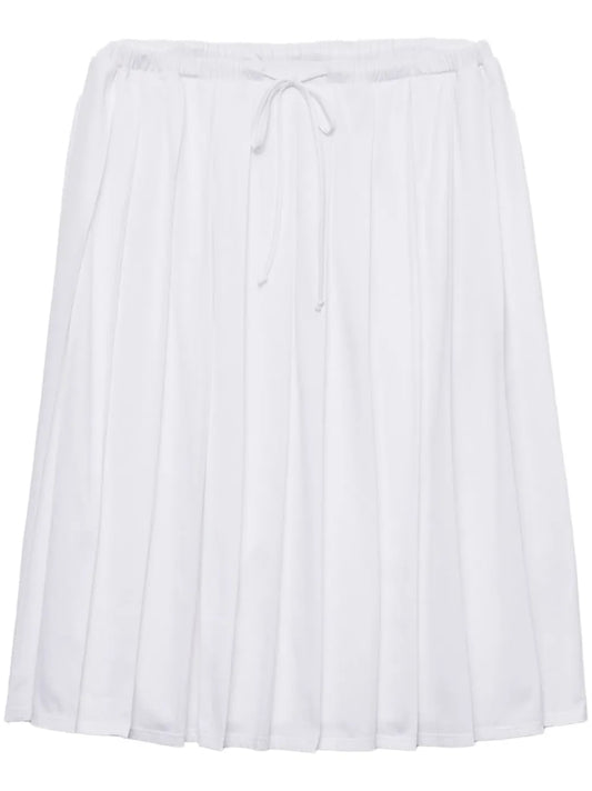 Pleated Skirt