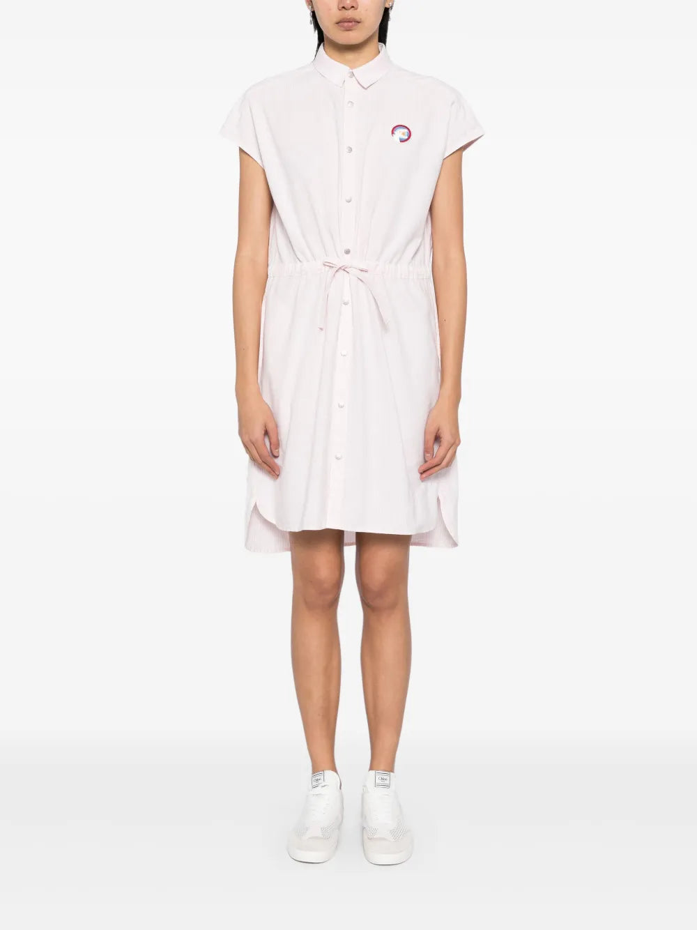 Dinosaur-Patch Oxford Dress