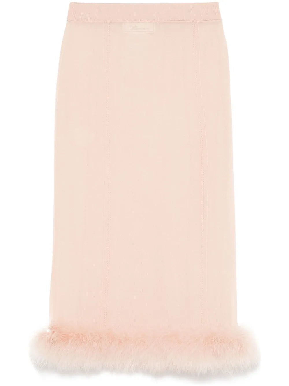 Sheer Midi Skirt