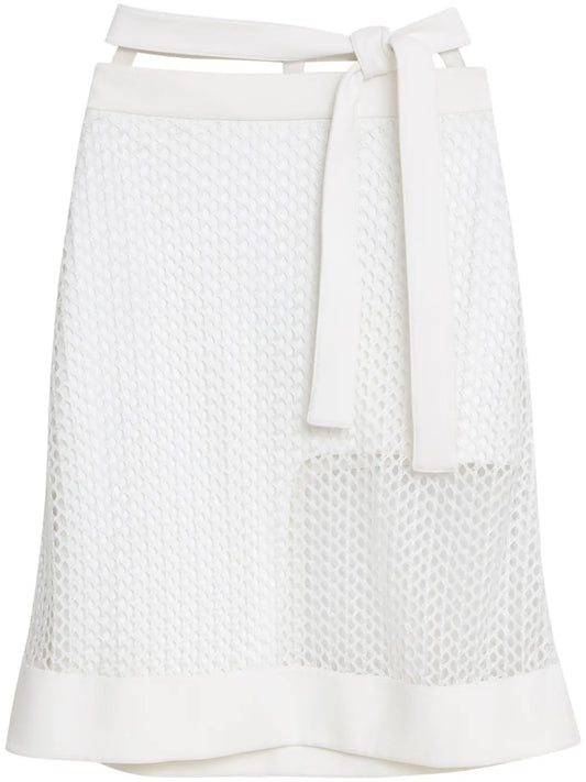 Semi-Sheer Skirt