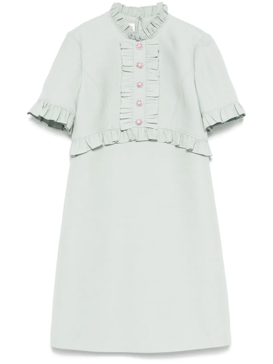 Ruffled Mini Dress