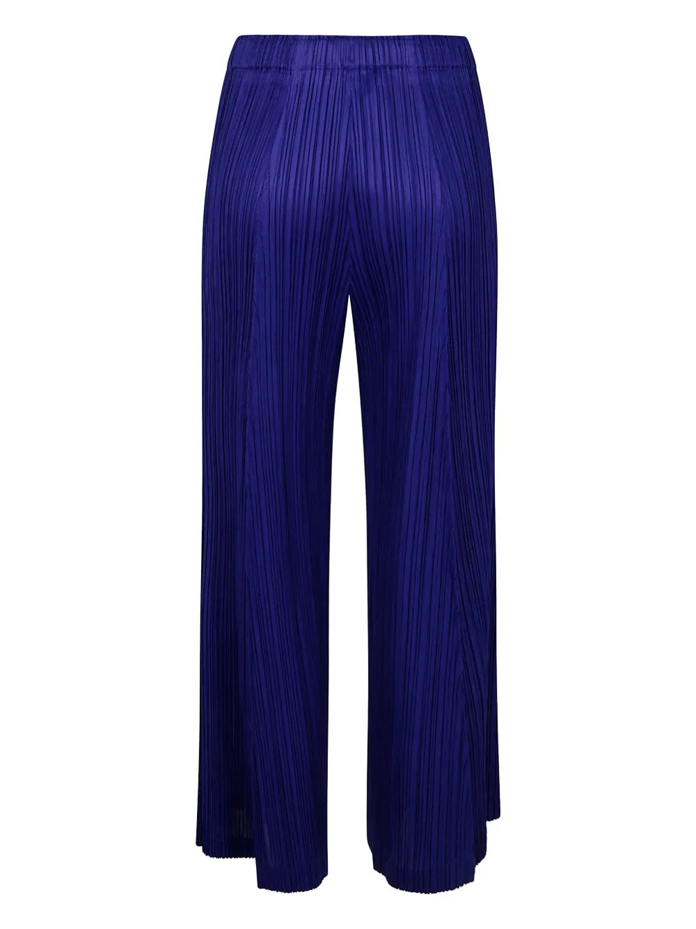 Pleated Trousers