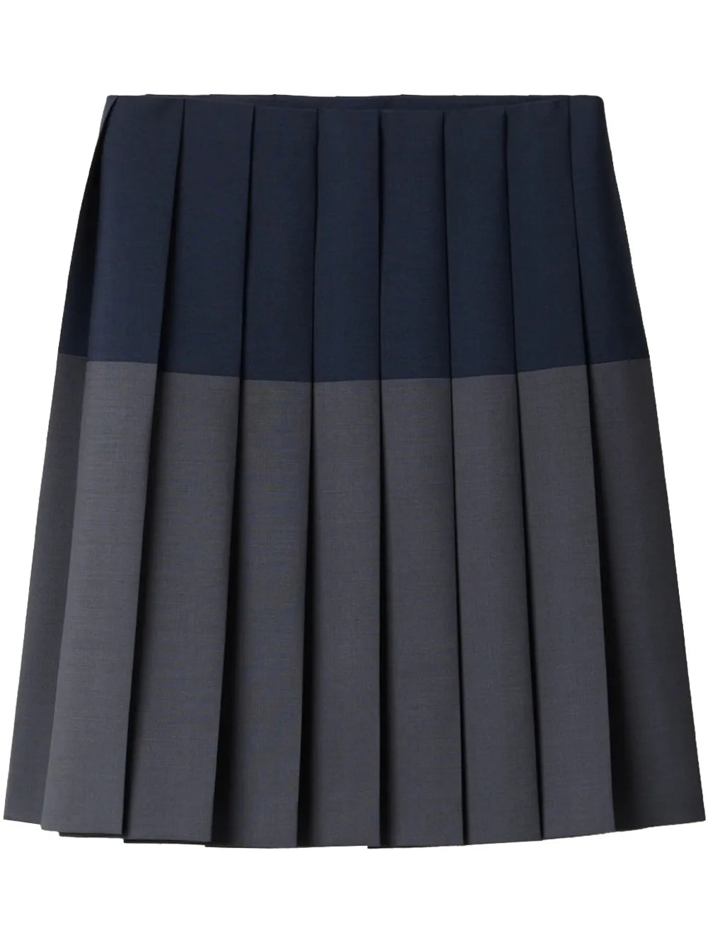 Pleated Skirt