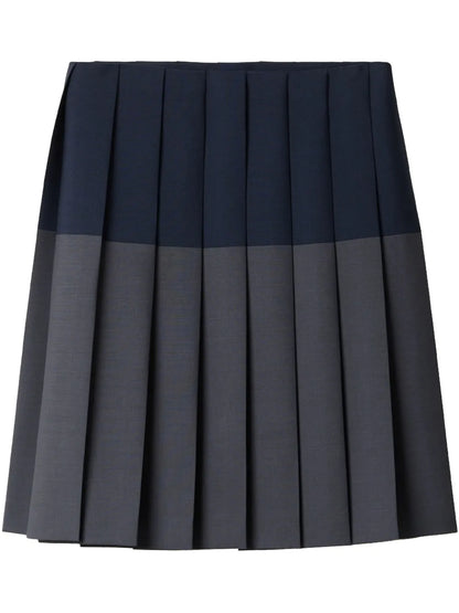 Pleated Skirt