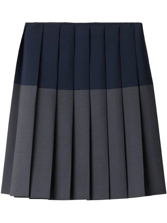Pleated Skirt