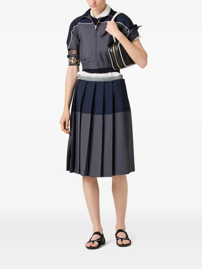 Pleated Skirt