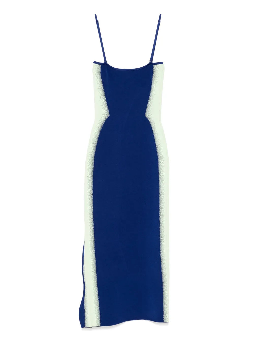 Iris Flower Print Tank Dress