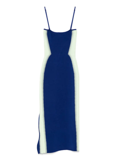 Iris Flower Print Tank Dress