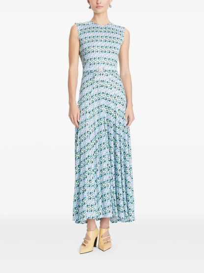 Printed Dress