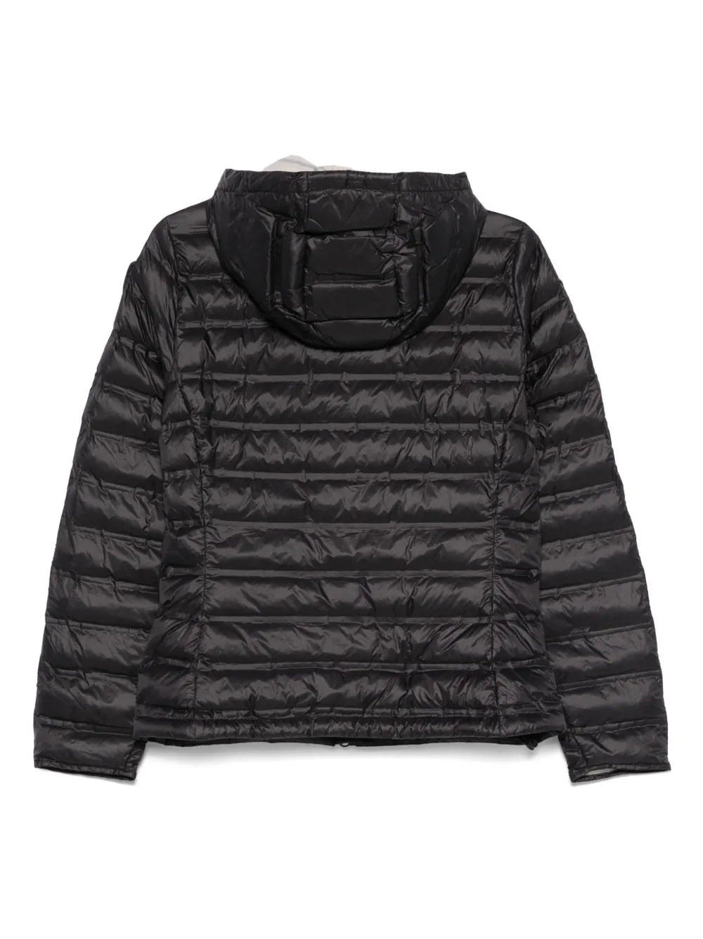 Padded Jacket