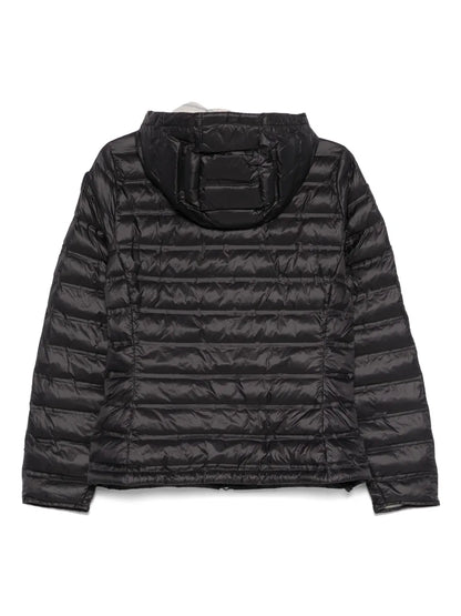 Padded Jacket